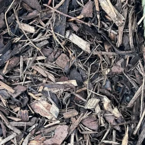 Wood chip mulch covering the ground