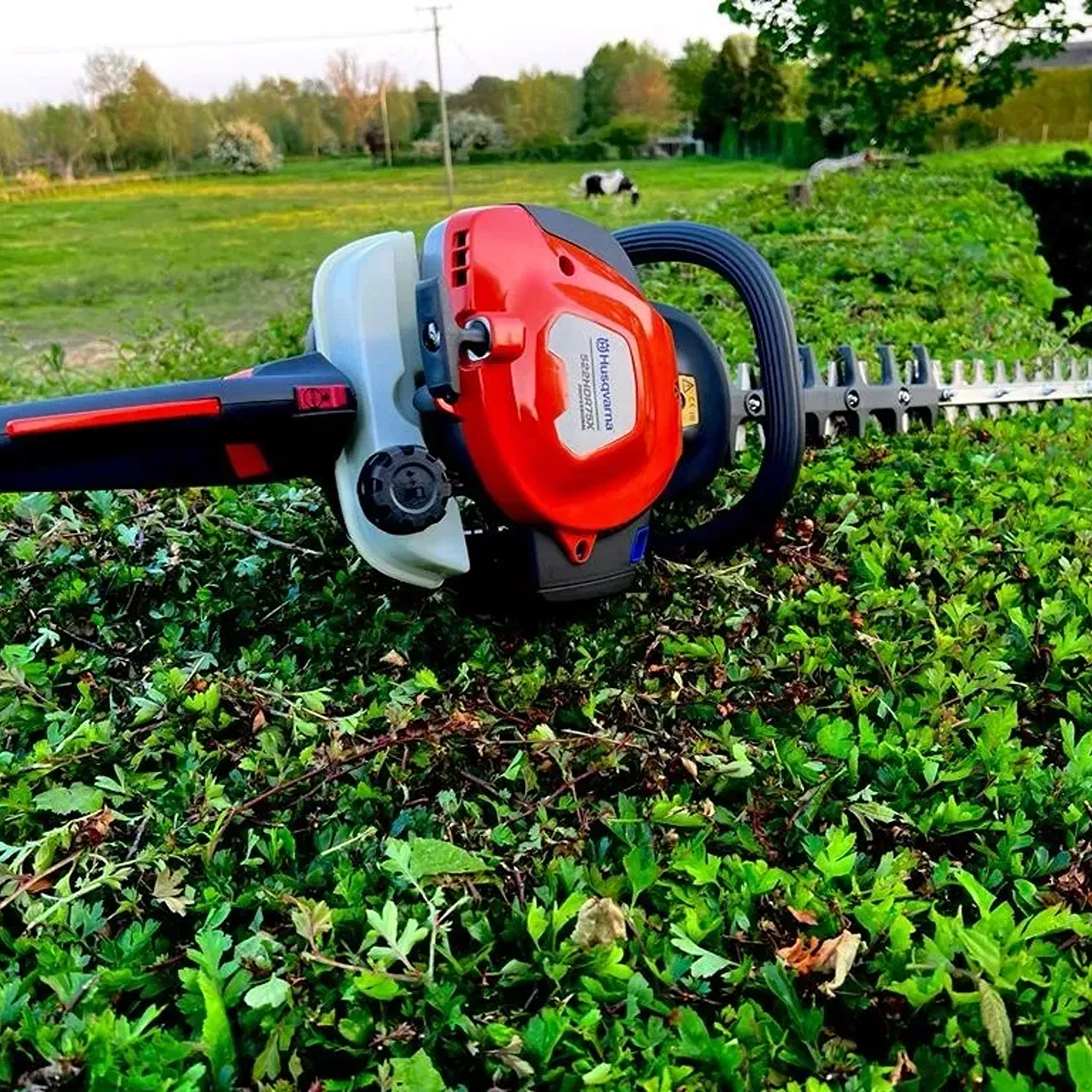 Hedge trimmer cutting a hedge in a garden field